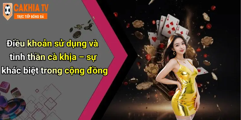 Điều khoản sử dụng và tinh thần cà khịa – sự khác biệt trong cộng đồng