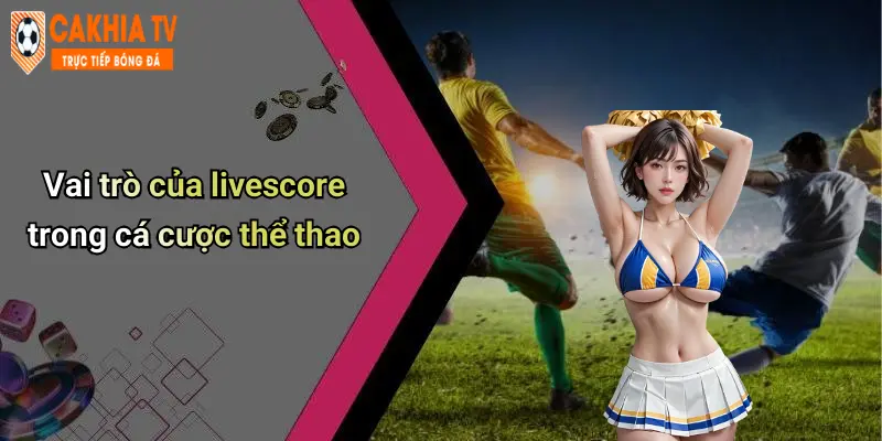 Vai trò của livescore trong cá cược thể thao