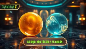 Kèo tài xỉu 2.75 hiệp 1 là gì? Cách đọc và mẹo soi kèo cực chuẩn